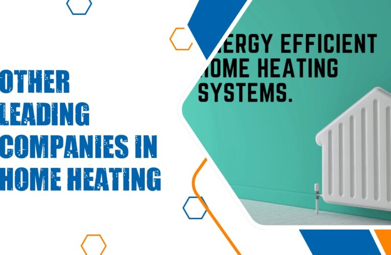 Fischer Future Heat and 8 Other Leading Companies in Home Heating Solutions